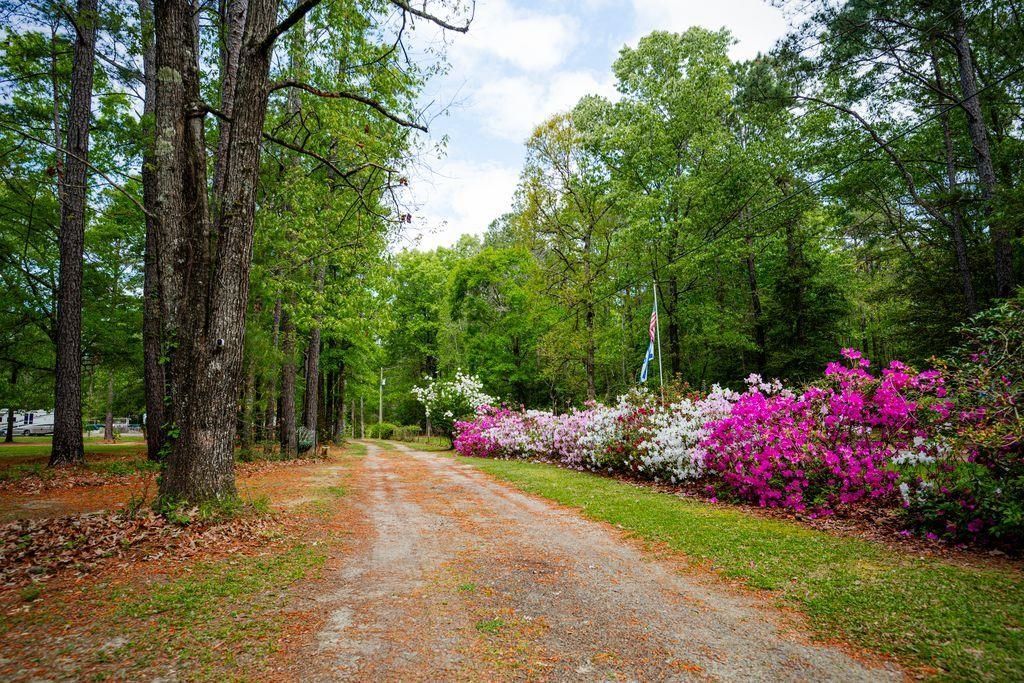 120 Honeymoon Ln Photo 12