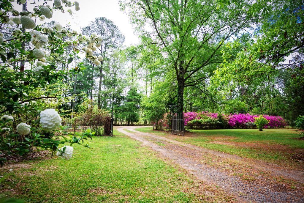 120 Honeymoon Ln Photo 17