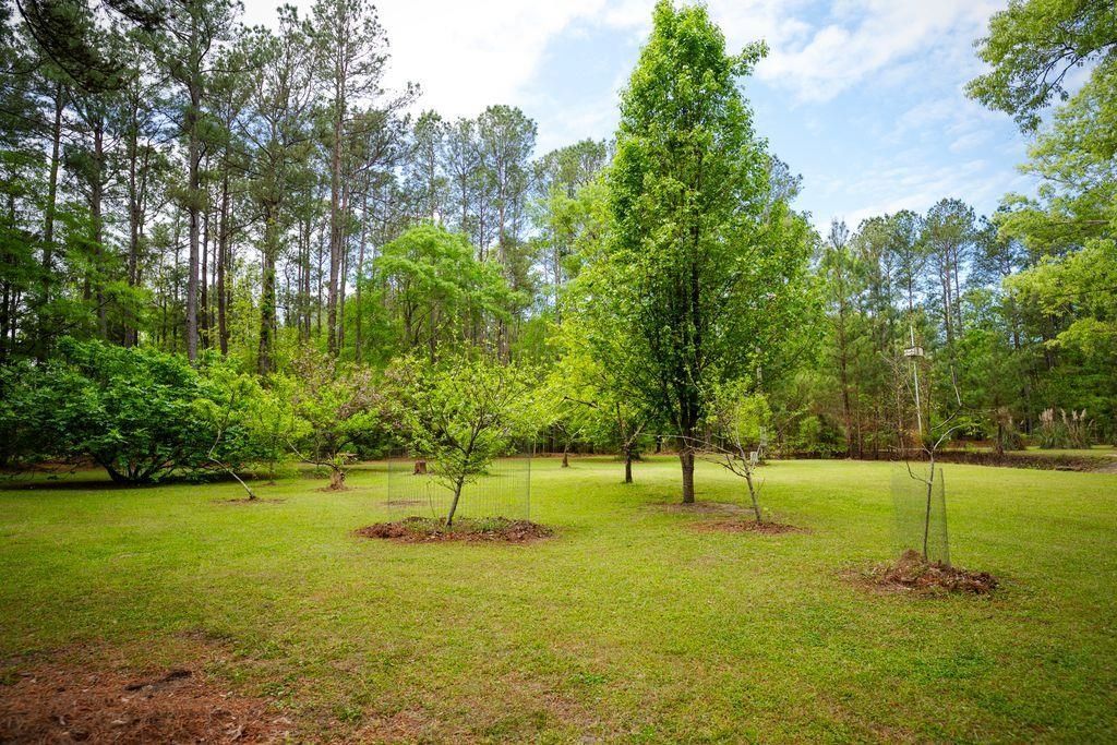 120 Honeymoon Ln Photo 4