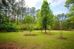 120 Honeymoon Ln photo 4