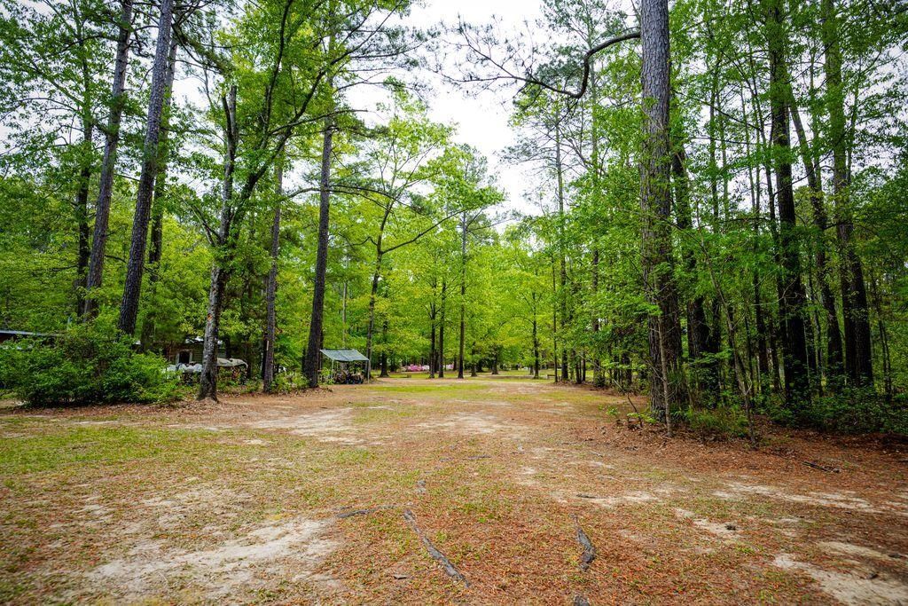 120 Honeymoon Ln Photo 6