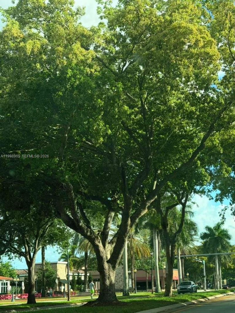 15515 N Miami Lakeway N, Unit 202-11, Miami Lakes, FL 33014 Photo