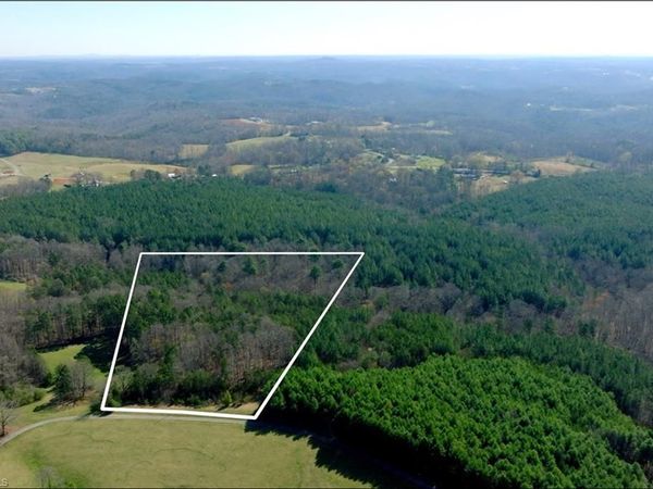 1019-3 George Road, Westfield, NC 27053