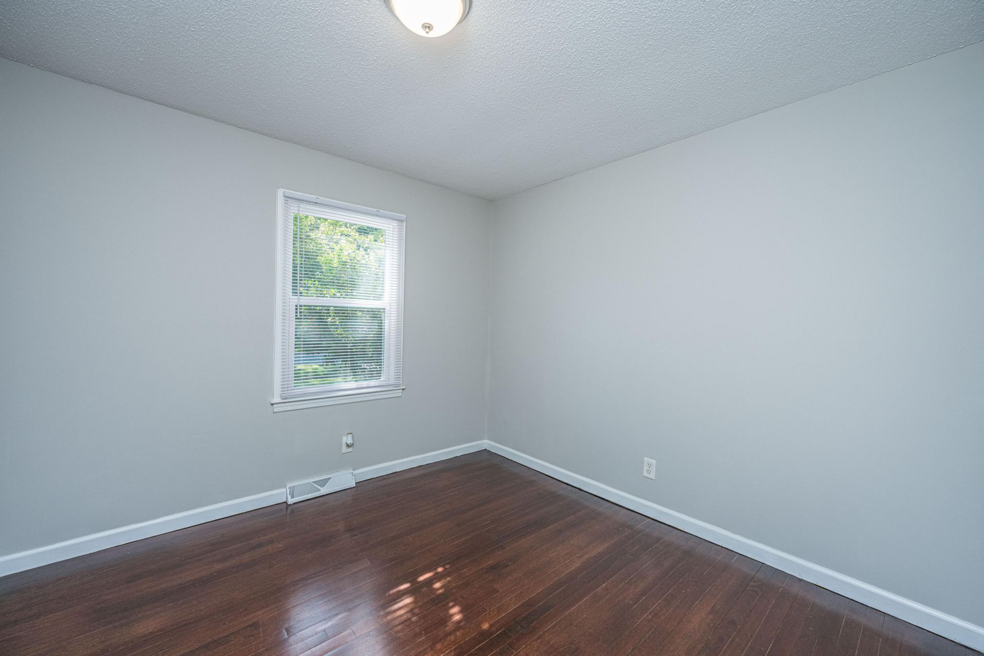 245 Mary Scott Drive Photo 15