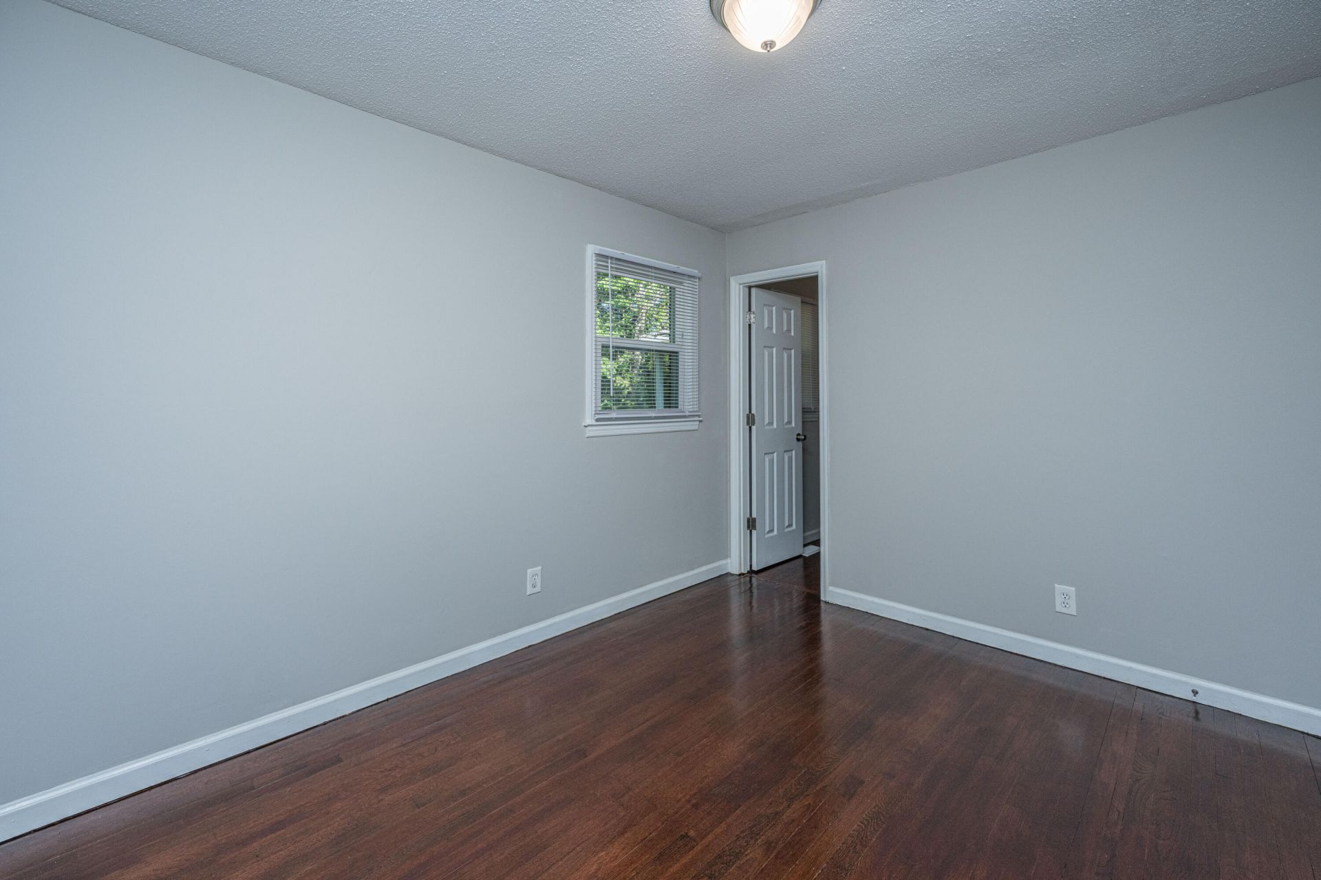 245 Mary Scott Drive Photo 21