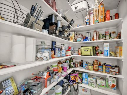 1151 Dapple Drive, Minden, NV 89423 Photo