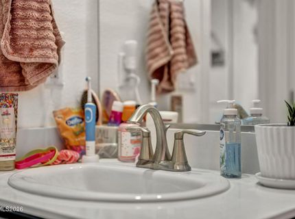 1151 Dapple Drive, Minden, NV 89423 Photo