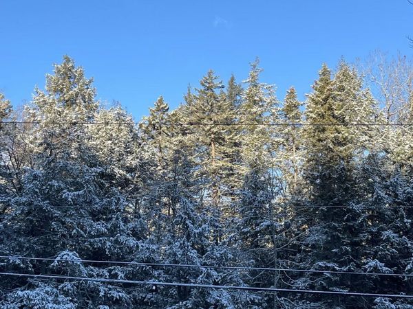 997 Stratton Arlington Road, Stratton, VT 05360