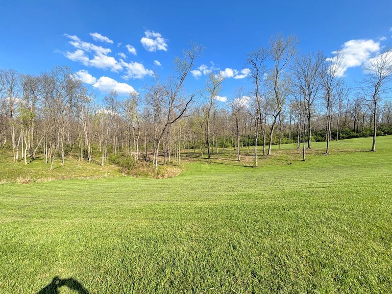 6296 Taylor Mill Road, Covington, KY 41015 Photo 14