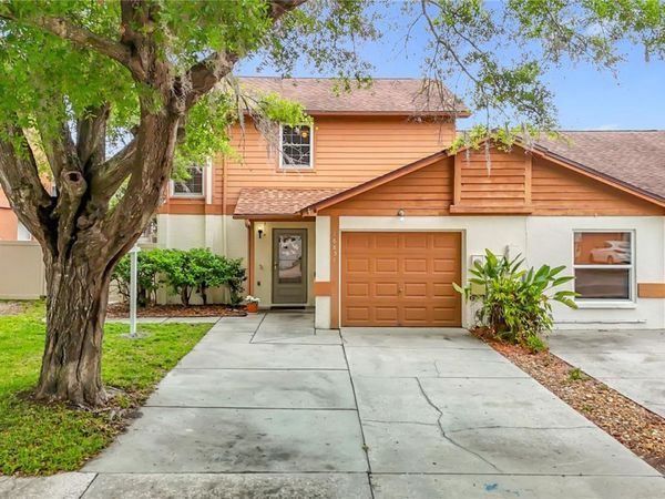 16851 LE CLARE SHORES DRIVE , TAMPA, FL 33624