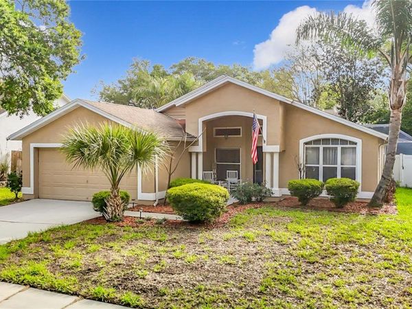 2631 GREEN VALLEY STREET , VALRICO, FL 33596