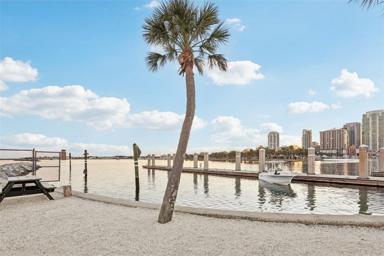 750 4th Avenue S, Unit 502, Saint Petersburg, FL 33701 Photo