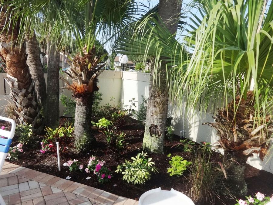 Property Image 53