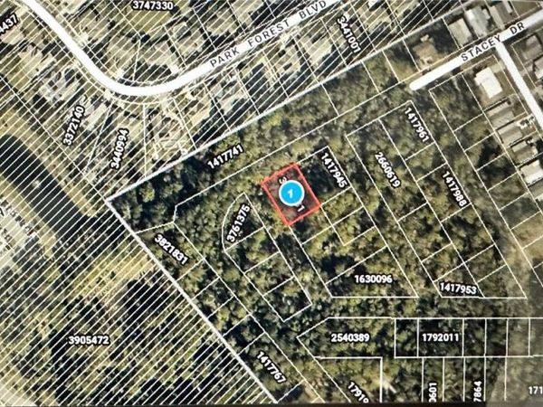 Lots 77 & 78 PARK FOREST BOULEVARD , MOUNT DORA, FL 32757