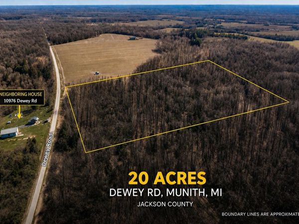 Dewey, Munith, MI 49259