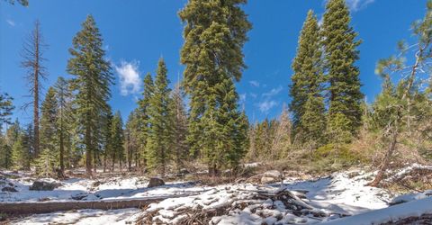 51337 Jeffery Pine Drive, Soda Springs, CA 95728 Photo