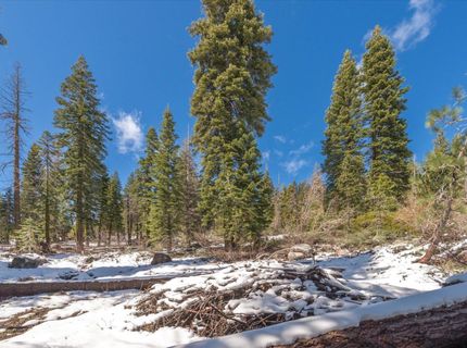 51337 Jeffery Pine Drive, Soda Springs, CA 95728 Photo