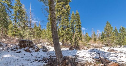 51337 Jeffery Pine Drive, Soda Springs, CA 95728 Photo