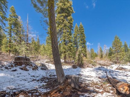 51337 Jeffery Pine Drive, Soda Springs, CA 95728 Photo