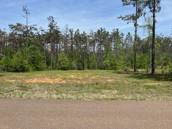 TBD Cr 411, Oxford, MS 38655