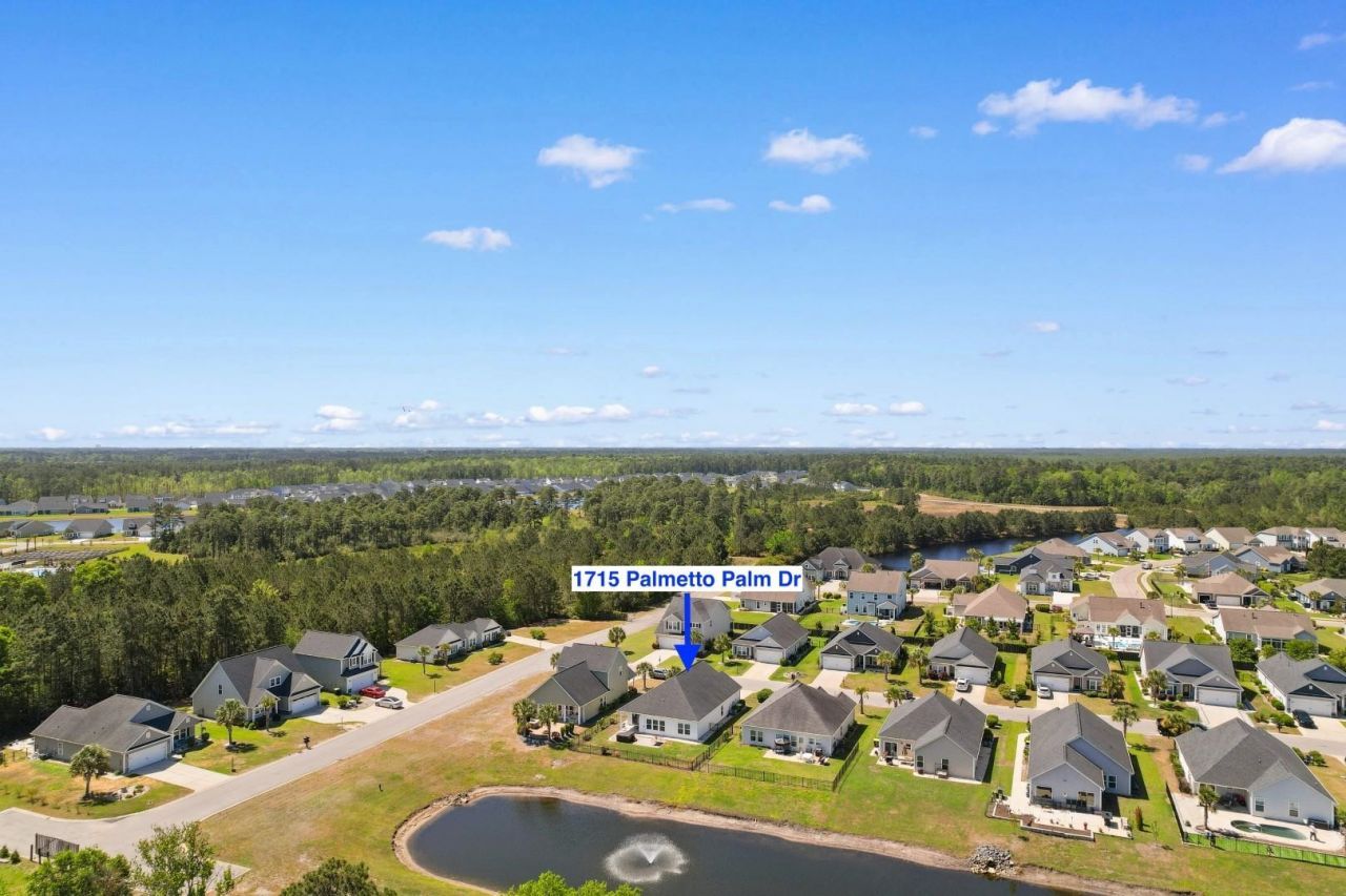 1715 Palmetto Palm Dr. Photo 35