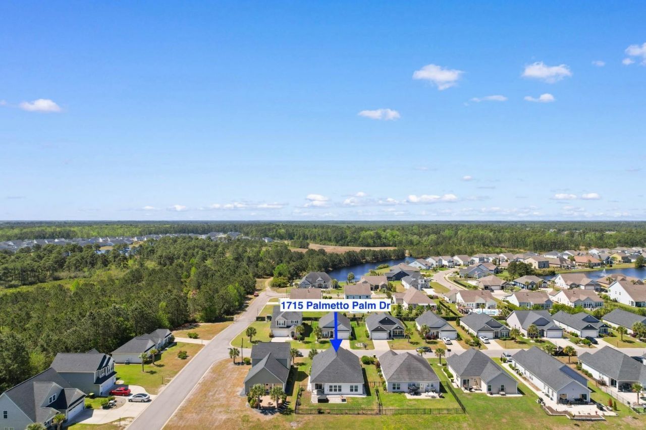 1715 Palmetto Palm Dr. Photo 36