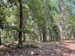 8119 S Loafer Glory Lane Photo 10