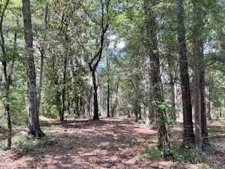 8119 S Loafer Glory Lane Photo 11