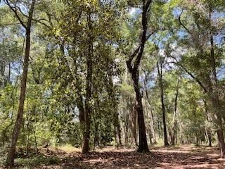 8119 S Loafer Glory Lane Photo 12