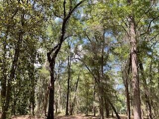 8119 S Loafer Glory Lane Photo 13