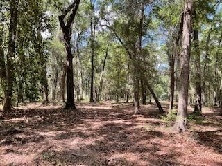 8119 S Loafer Glory Lane Photo 14