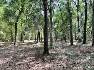 8119 S Loafer Glory Lane Photo 15