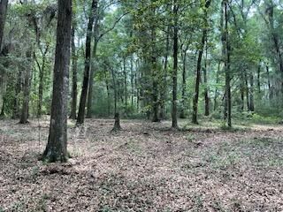 8119 S Loafer Glory Lane Photo 16