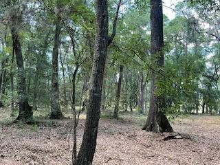 8119 S Loafer Glory Lane Photo 17