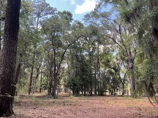 8119 S Loafer Glory Lane Photo 18