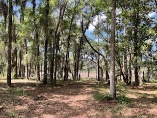 8119 S Loafer Glory Lane Photo 19