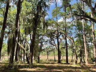 8119 S Loafer Glory Lane Photo 20