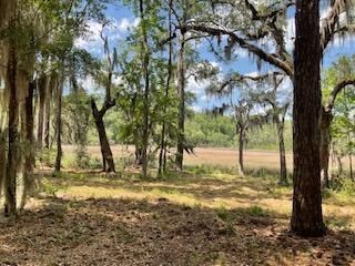 8119 S Loafer Glory Lane Photo 21