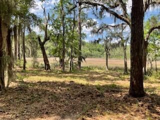 8119 S Loafer Glory Lane Photo 22