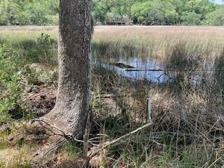 8119 S Loafer Glory Lane Photo 24