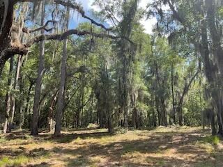 8119 S Loafer Glory Lane Photo 25