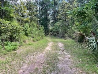 8119 S Loafer Glory Lane Photo 26