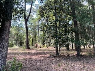 8119 S Loafer Glory Lane Photo 27