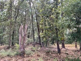 8119 S Loafer Glory Lane Photo 28