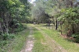 8119 S Loafer Glory Lane photo 4