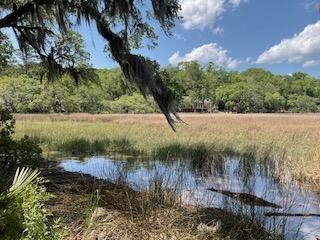 8119 S Loafer Glory Lane Photo 30