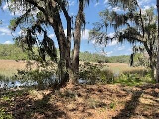 8119 S Loafer Glory Lane Photo 31