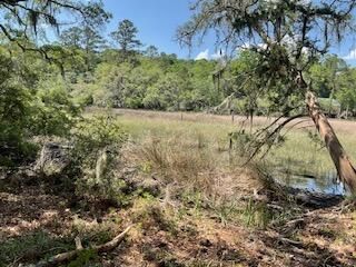 8119 S Loafer Glory Lane Photo 32