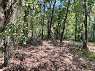 8119 S Loafer Glory Lane Photo 33