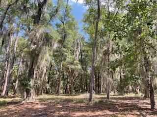 8119 S Loafer Glory Lane Photo 34